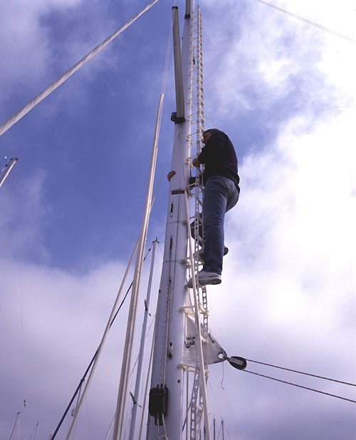 Mastep 6 - Rung Ladder